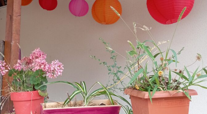 Carte postale de vacances …